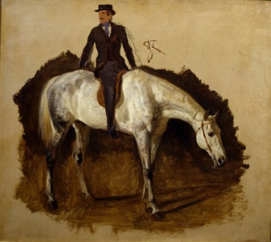 Cavallo bianco da caccia e cavaliere